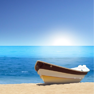 血腥割头外网免费版
