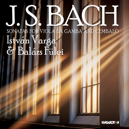 血腥割头外网免费版
